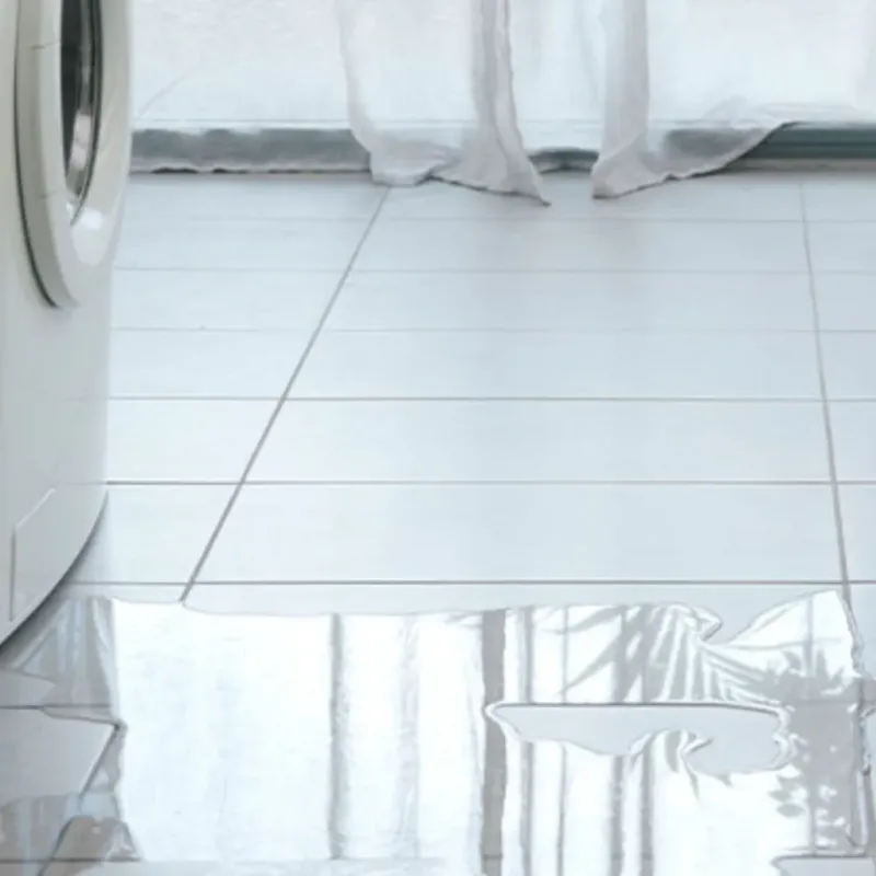 Appliance Leak Cleanup in Scott Lake, FL