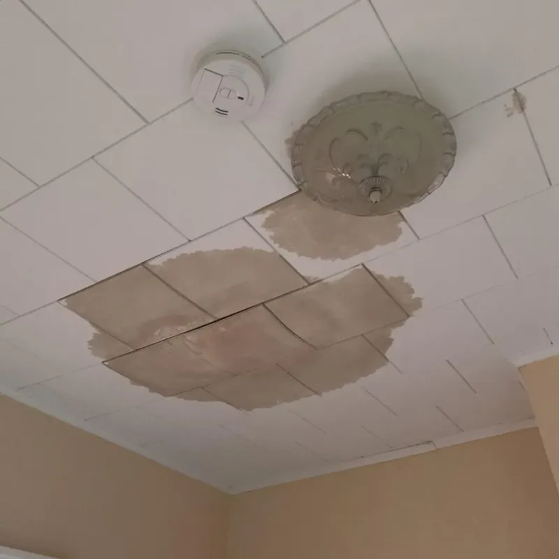 Ceiling Water Damage Repair in Scott Lake, FL
